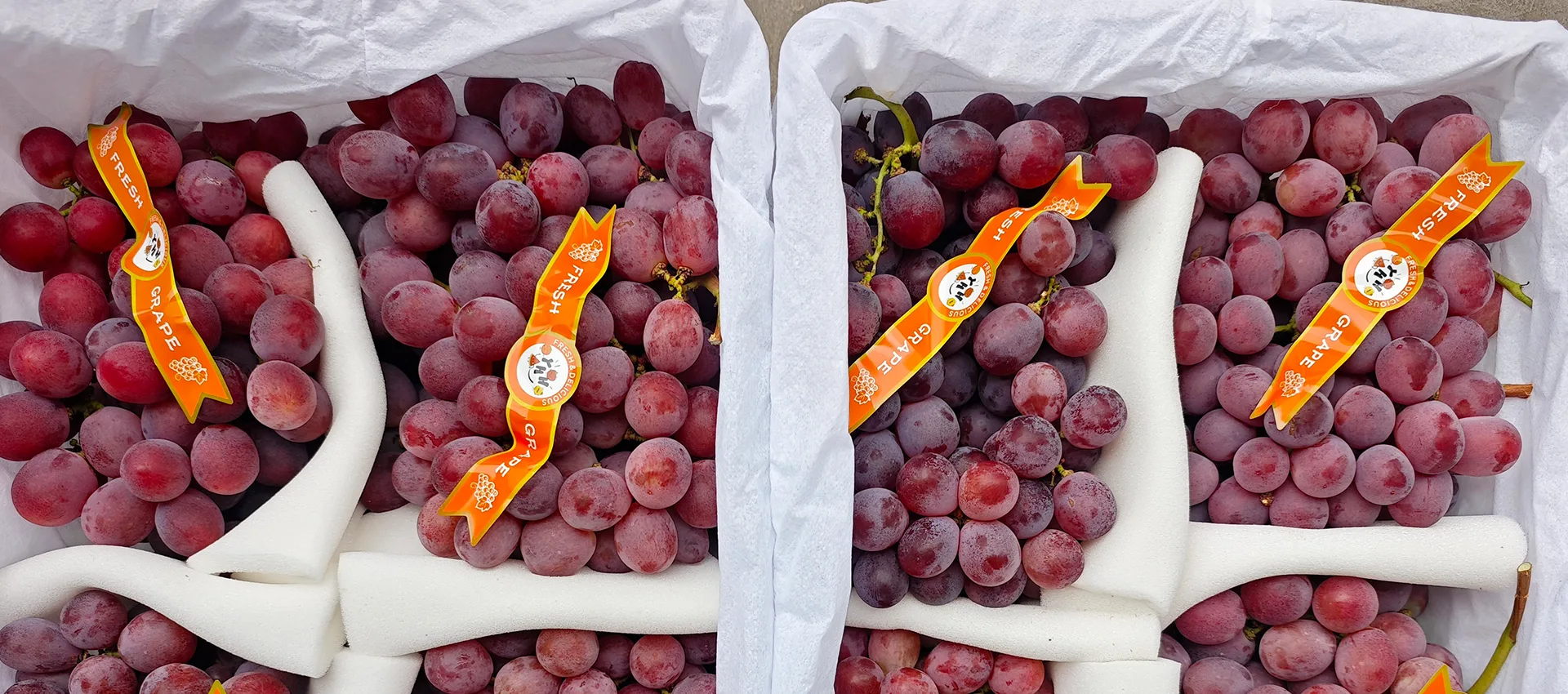 Hiina esmaklassiliste värskete viinamarjade tarnija