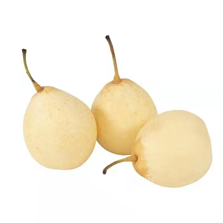 Värskelt korjatud Ya Pear