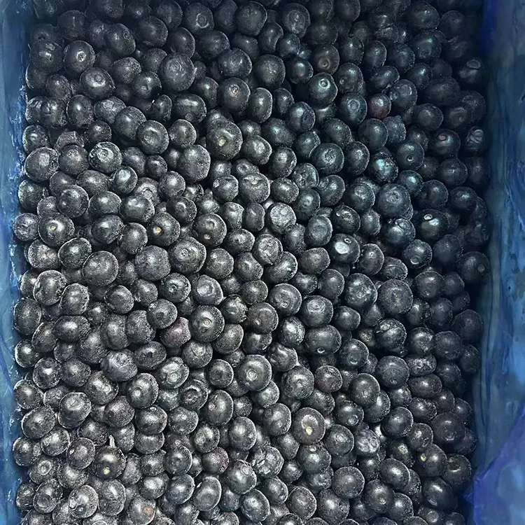 Külmutatud mustikad Premium IQF mustikad