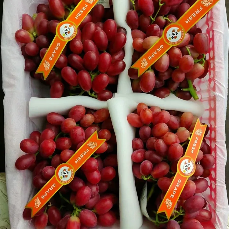 Freshly Harvested Black Grapes