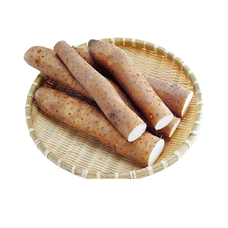 Fresh Chinese Yam
