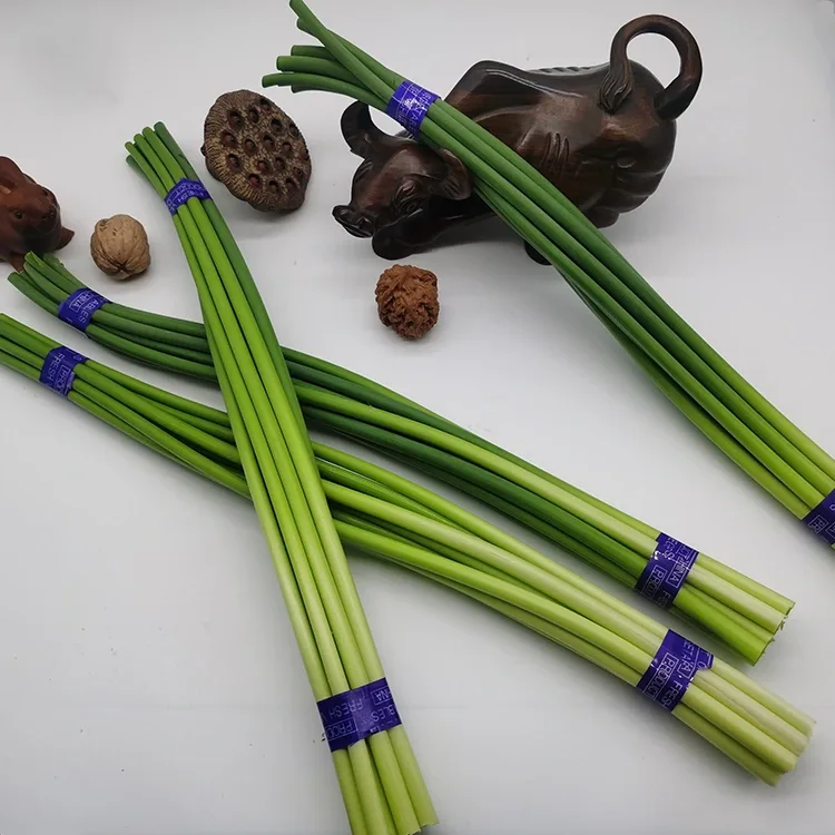 Premium Fresh Garlic Scapes