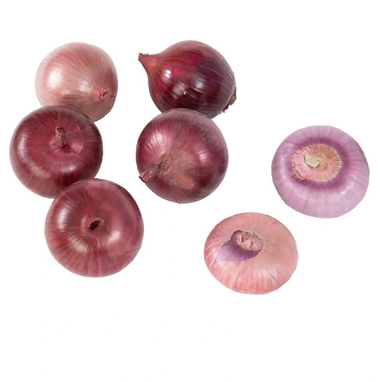 Premium Fresh Red Onions