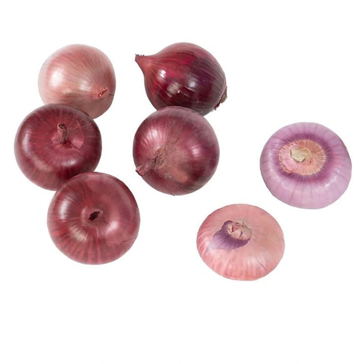 Premium Fresh Red Onions