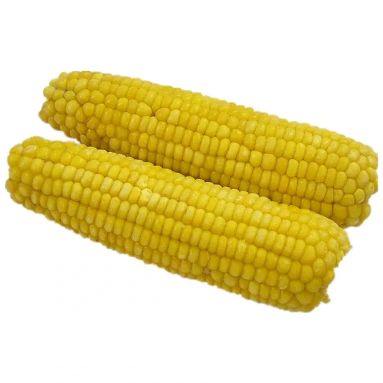 Premium Frozen Sweet Corn