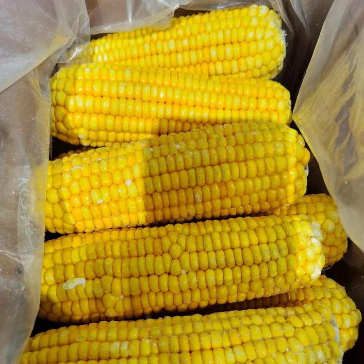 Premium Frozen Sweet Corn