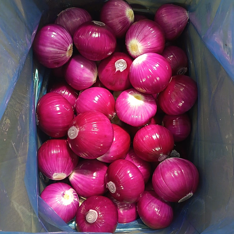 High Quality Peeled Onions