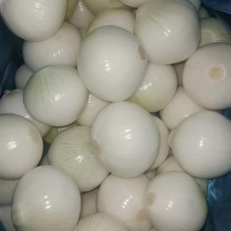 High Quality Peeled Onions