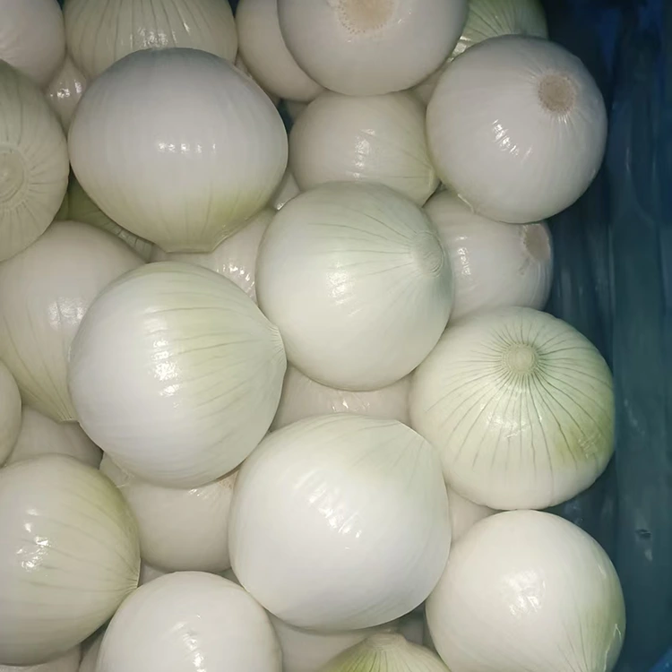 High Quality Peeled Onions
