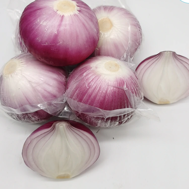 High Quality Peeled Onions