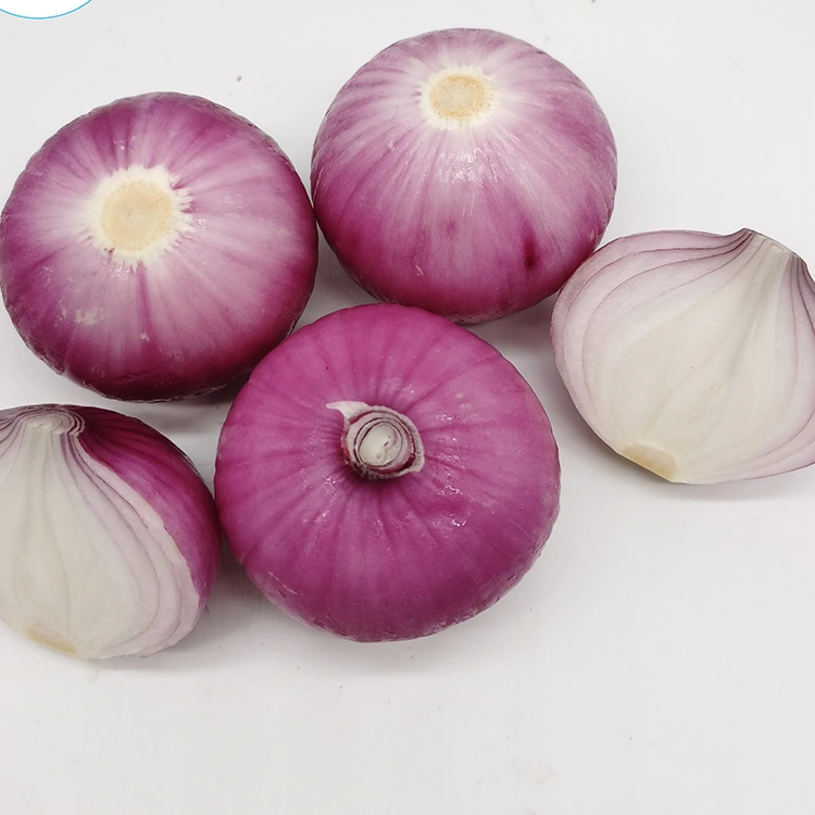 High Quality Peeled Onions