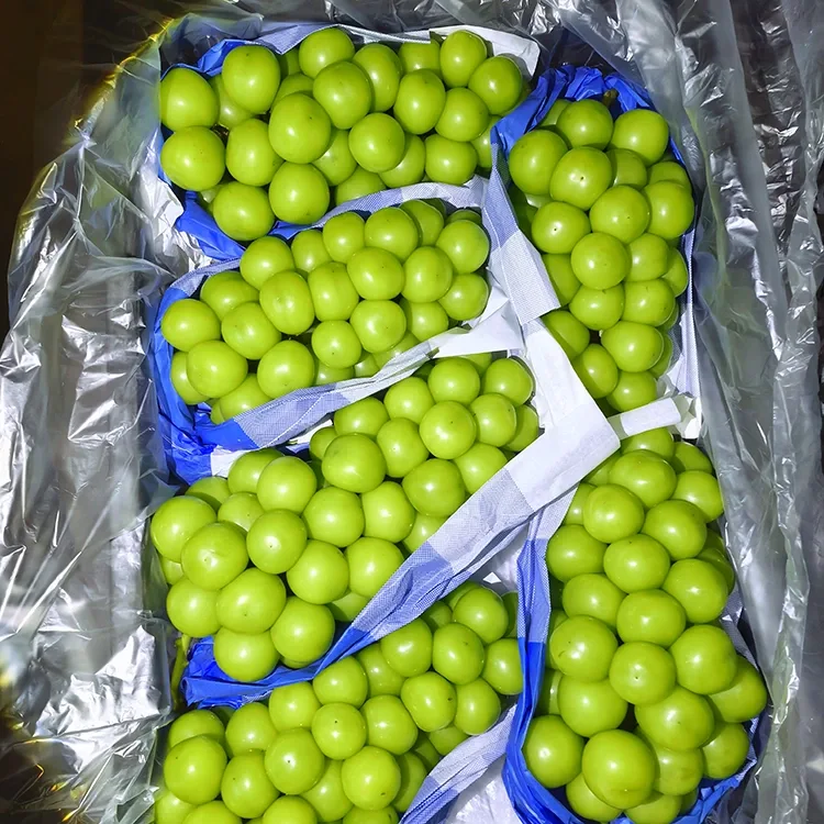 Selected Fresh Shine Muscat Grapes