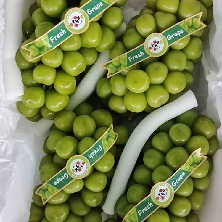 Selected Fresh Shine Muscat Grapes
