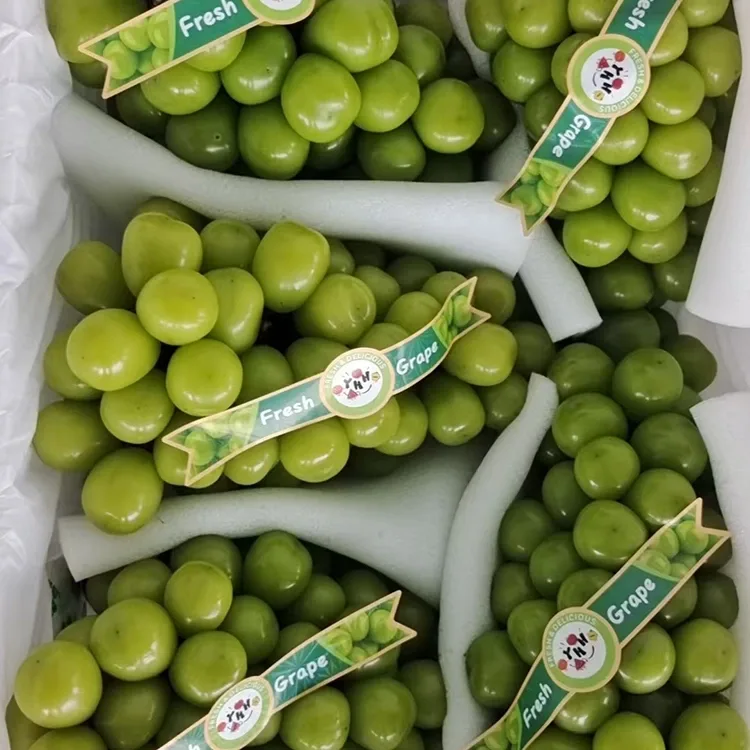 Selected Fresh Shine Muscat Grapes