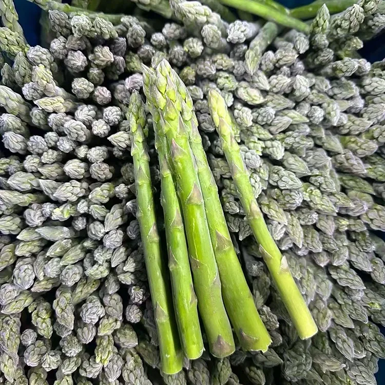 Selected Frozen Green Asparagus