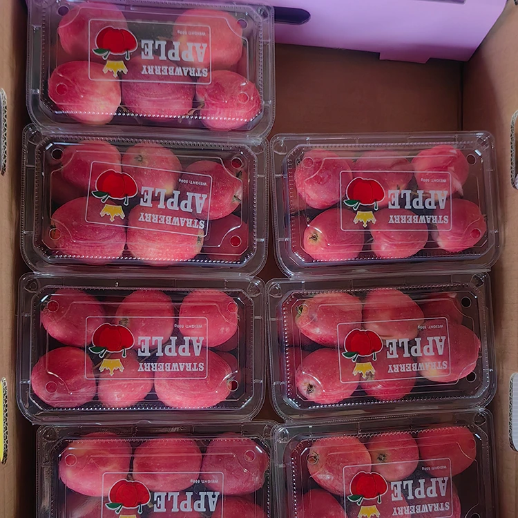 High-Grade New-Crop Chinese Cherry Apple